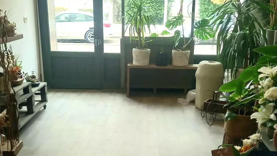 Proprietà Commerciale in Vendita - Berges du Lac