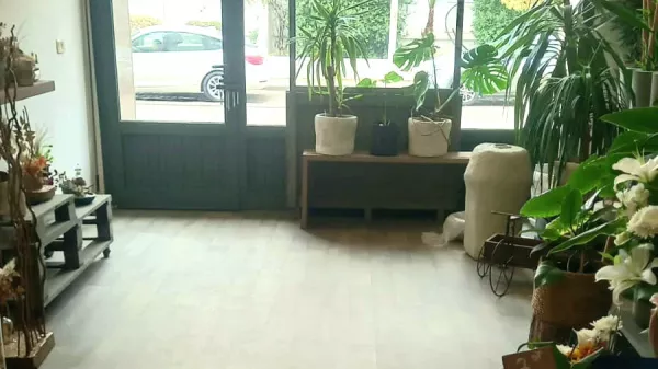 Commercial Property for Sale - Berges du Lac