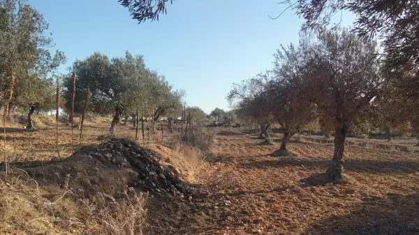 Unique Investment Opportunity in Foukaya Chatt Mariem, Sousse