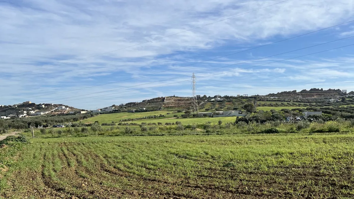 Exceptional Agricultural Land Investment Opportunity in Nabeul