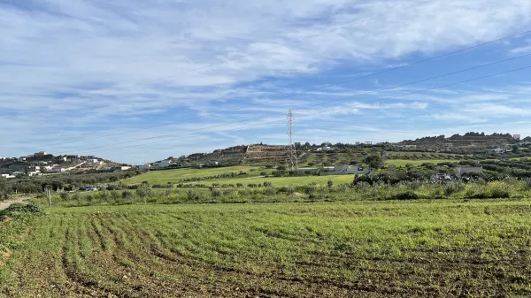 Exceptional Agricultural Land Investment Opportunity in Nabeul