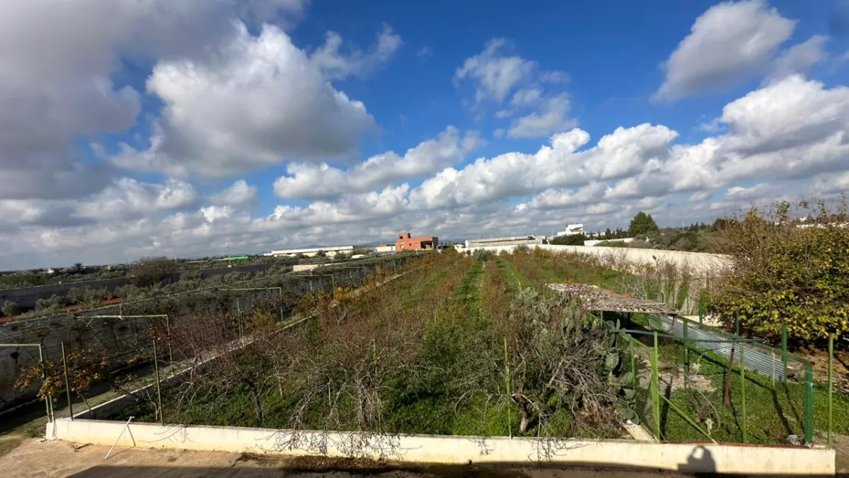 Farm in Menzel Temime: An Ideal Investment on the Main Road