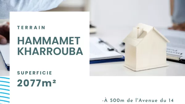 Ideal Investment Opportunity in Hammamet Kharrouba