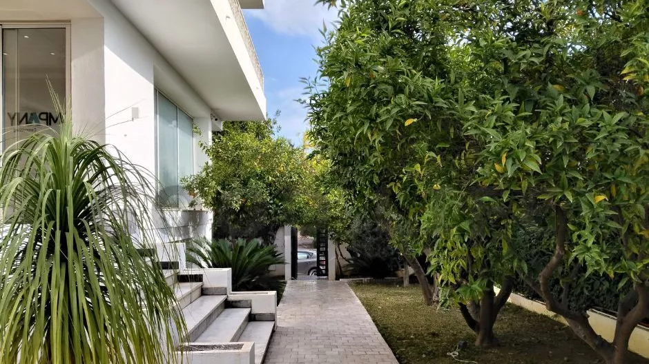 فيلا كلاسيكية من خمسينيات القرن الماضي – مناز 1 | تجديد كامل مع حدائق خضراء