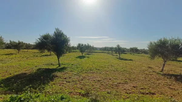 Unique Investment Opportunity