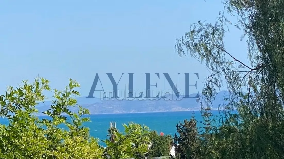 Luxury Sea View Villa in Carthage: A Haven of Comfort and Elegance
