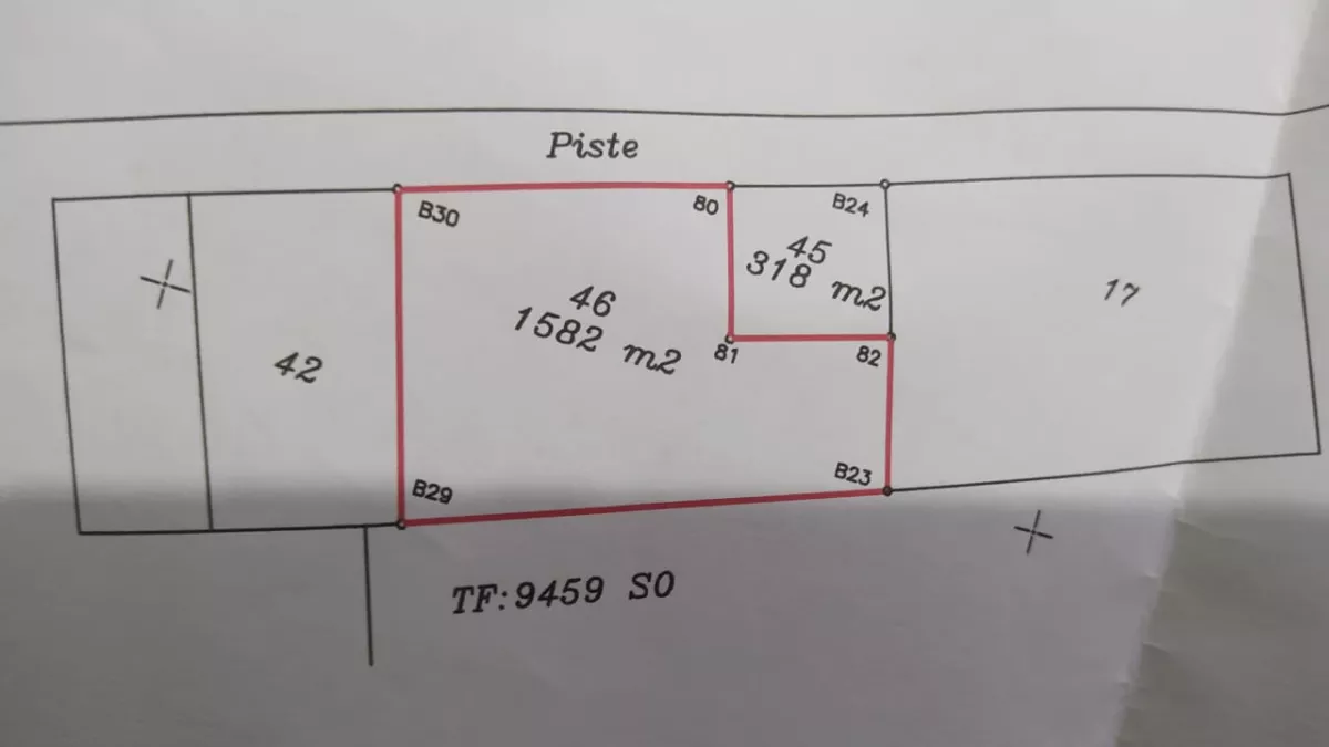 A Golden Opportunity for Investment or a Dream Residence