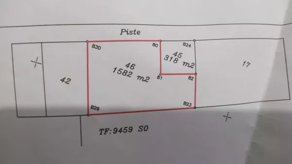 A Golden Opportunity for Investment or a Dream Residence