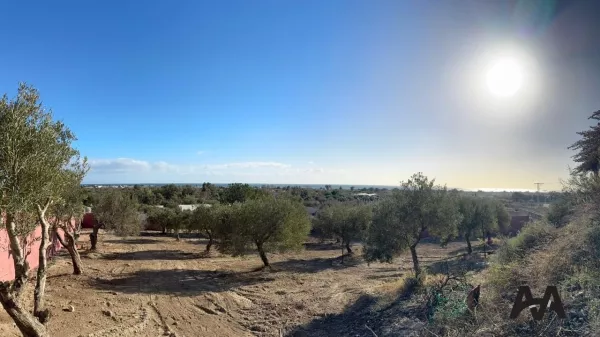 Terreno con Vista Mare a Dharoufa, Nabeul - Un'Opportunità Unica