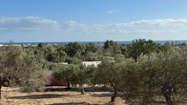 Sea View Plot of 735m² in Dharoufa, Nabeul