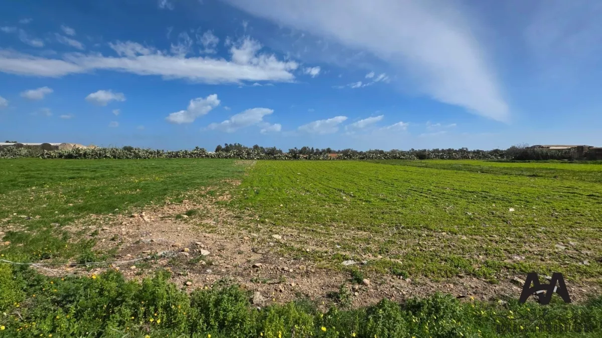 Exceptional Investment Opportunity: Titled Agricultural Land in Korba