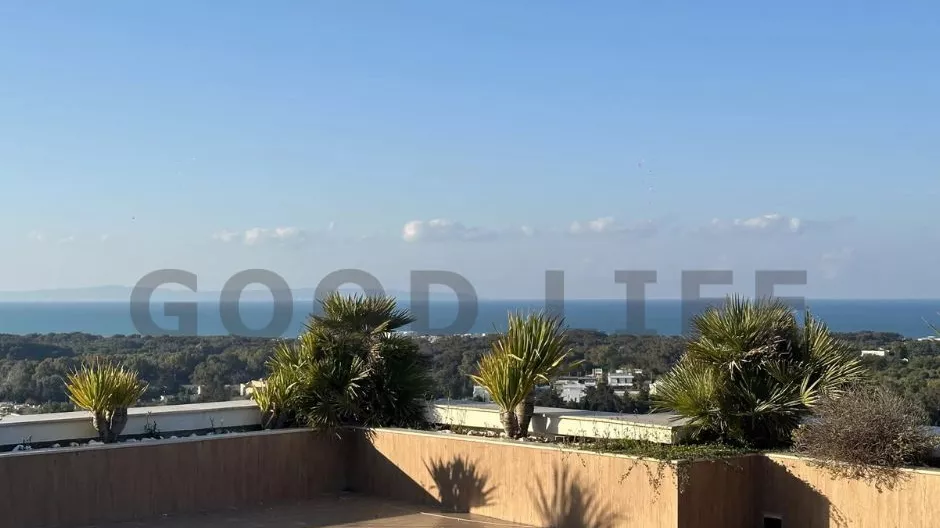 Furnished S+0 Apartment for Rent with Sea View in Gammarth