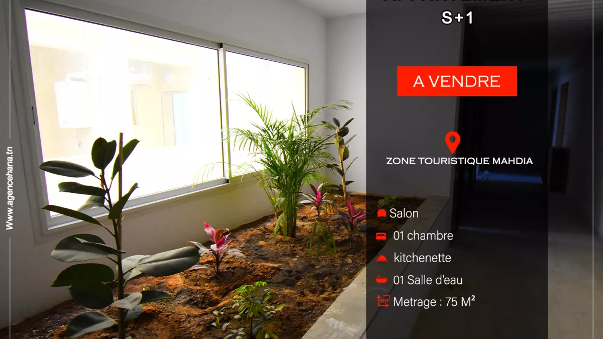 Stunning S+1 Property for Sale with Pool in Mahdia, Direct from the Developer