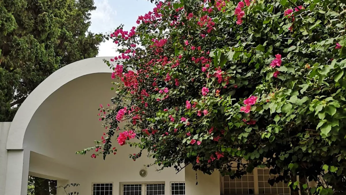 Furnished Villa in Skanes with Unlimited Wifi