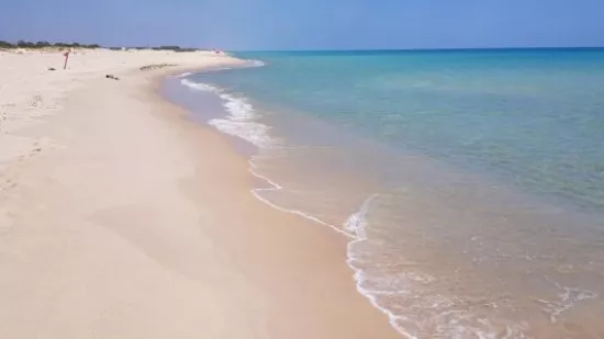 قطعة أرض للبيع على الشاطئ في ماامورة بلو، نابل