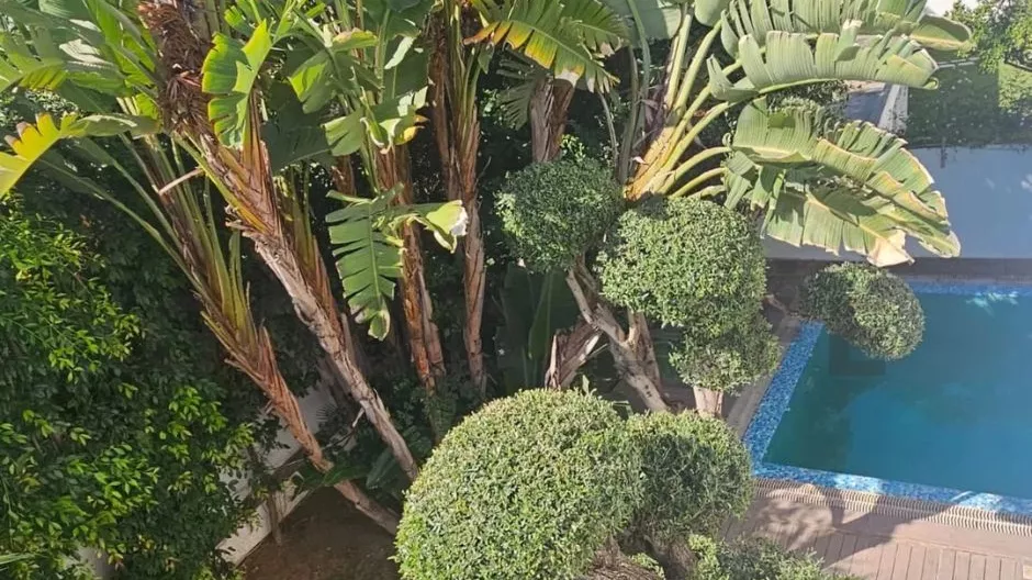Luxury Furnished Villa for Rent in Menzah 1