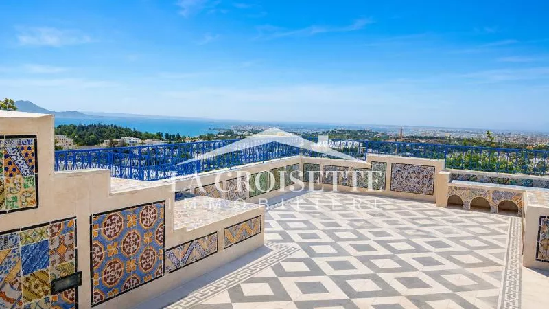 Luxury S+2 Duplex for Rent in Sidi Bou Saïd - MDL0739
