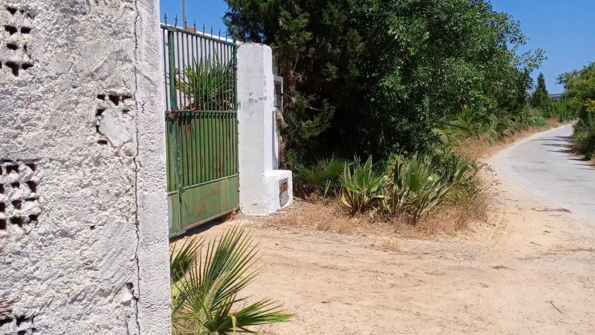 Agricultural Land for Sale in Nabeul