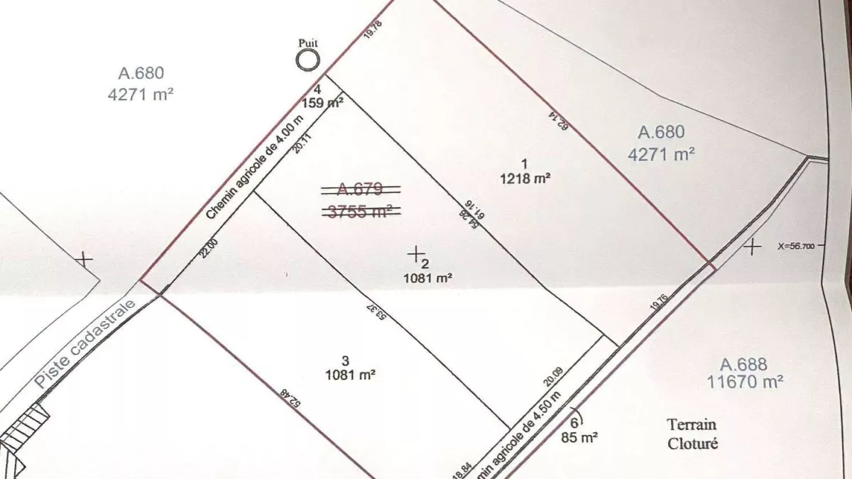Land for Sale in Daroufa Maamoura, Nabeul: An Ideal Investment Opportunity