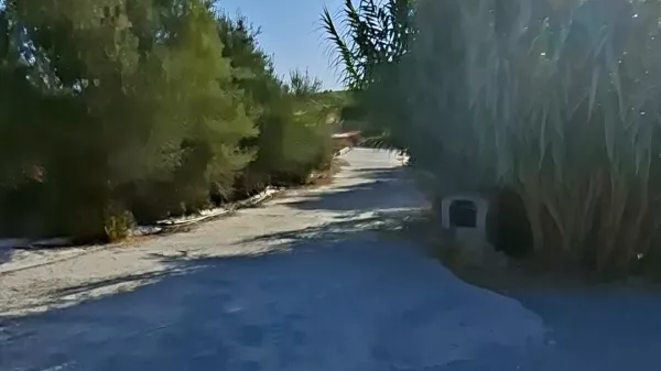 أرض زراعية للبيع في زغوان