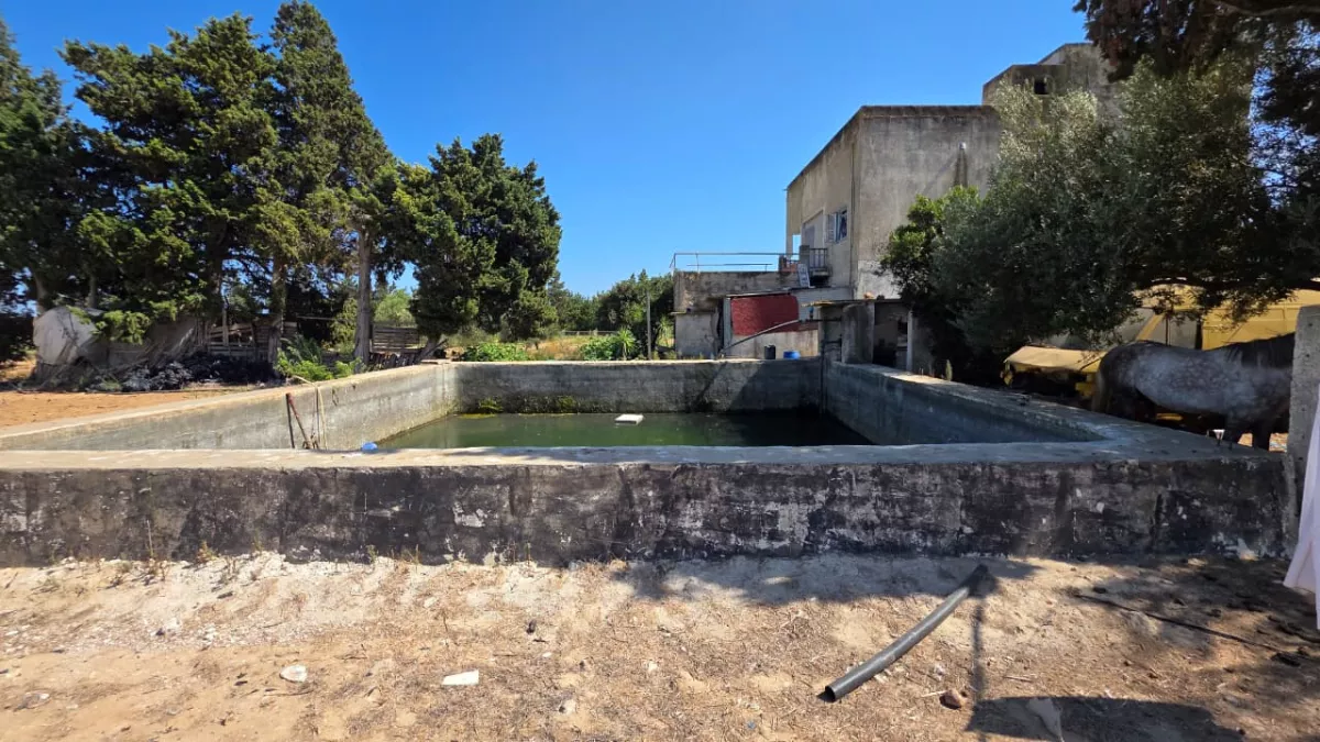 For Sale – 10,840 m² Estate with Villa and Warehouse – Tazarka