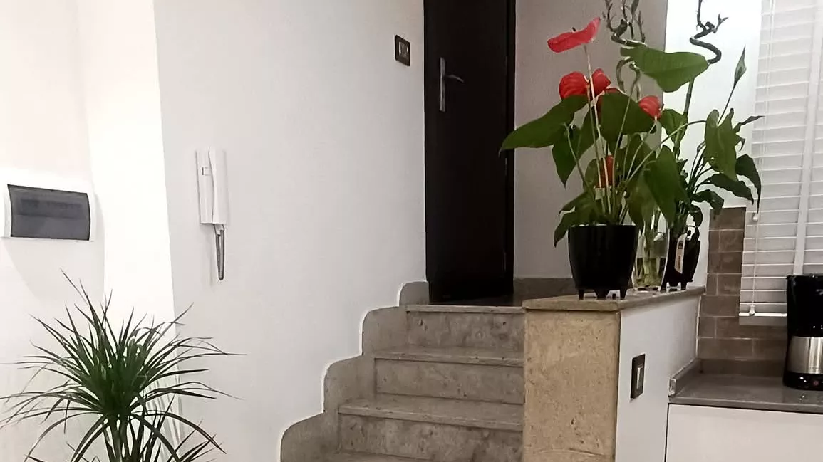 Charming Apartment for Rent in Nabeul