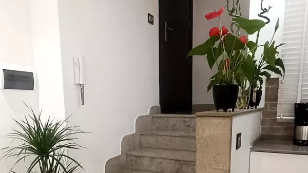 Charming Apartment for Rent in Nabeul
