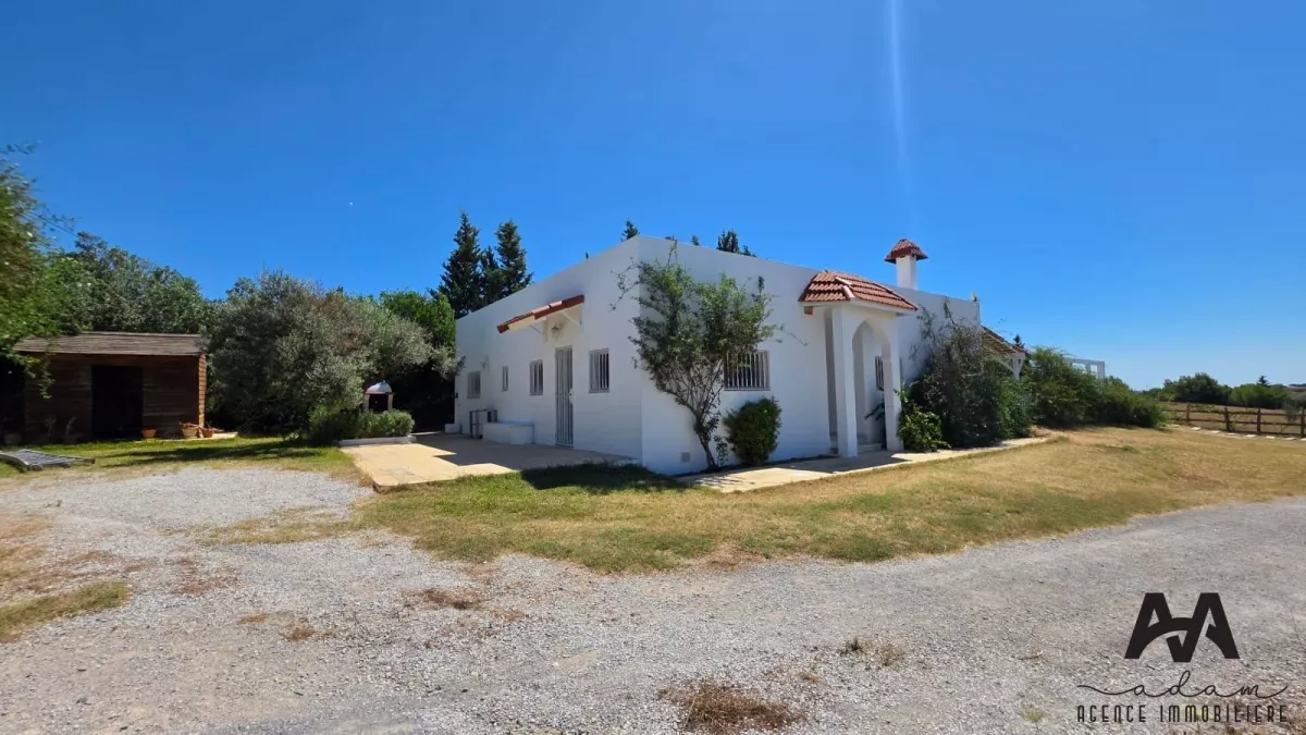 Luxurious 1-Hectare Estate in Korba (Bir Drassen)