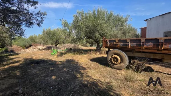 Dream Land Plot for Sale in Dagdoug, Nabeul
